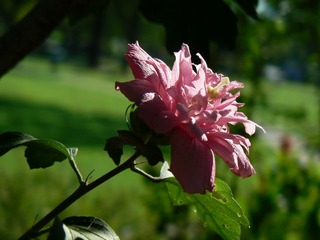 P1020587