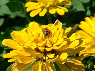 P1020655