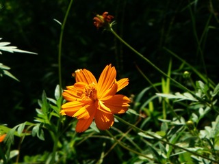 P1020677