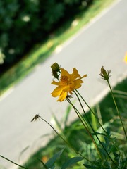 P1020678