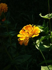 P1020679