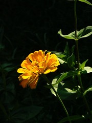 P1020680