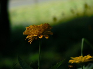 P1020686