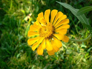 P1020701