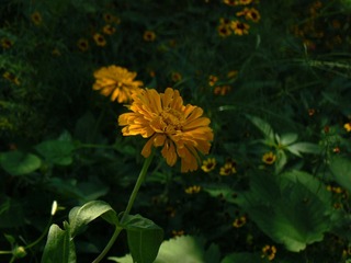 P1020699