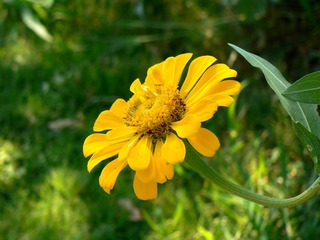 P1020700