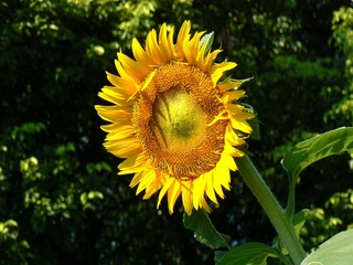 P1020705