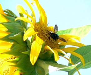 P1020712