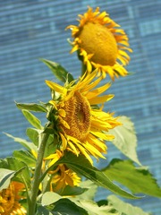 P1020718