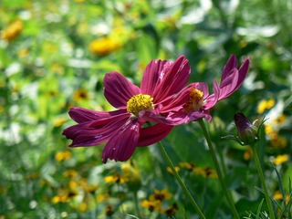 P1020717