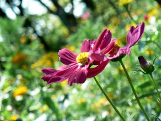P1020716