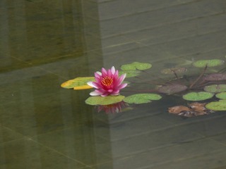 P1020936