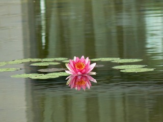 P1020932