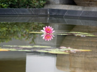 P1020935