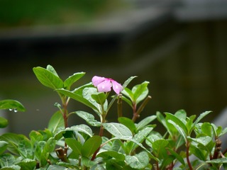 P1020941