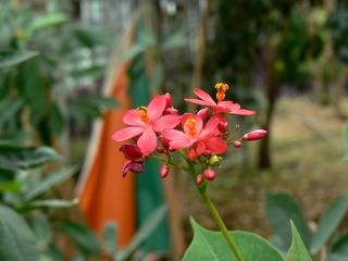 P1030022