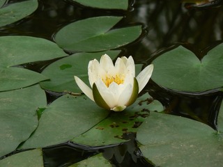 P1030025