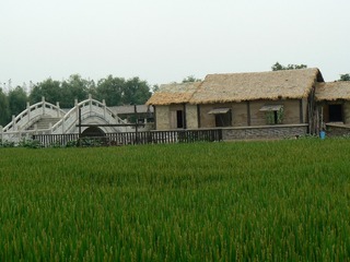 P1030048