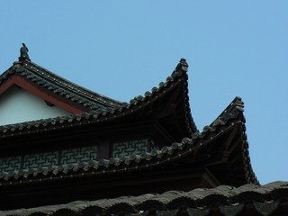 P1020756