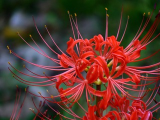 P1030075
