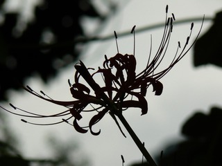P1030082