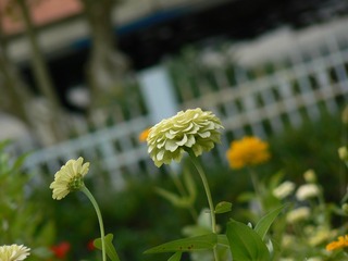 P1030094