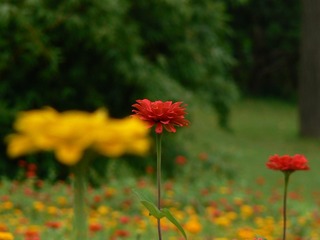 P1030112