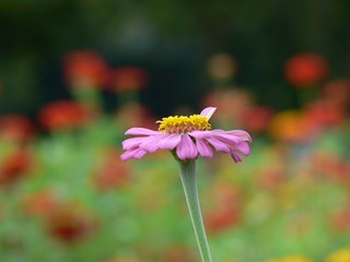 P1030104