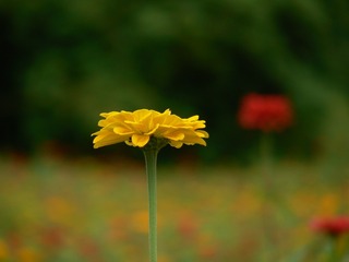 P1030110