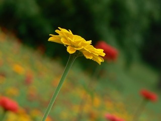 P1030111