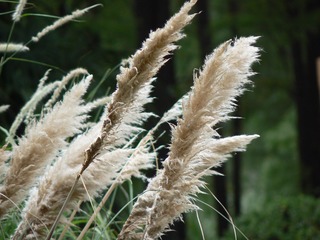 P1030120