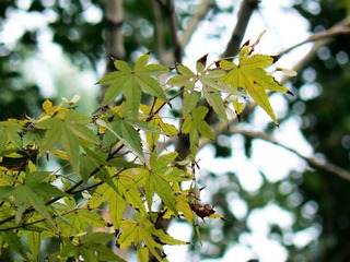 P1030254