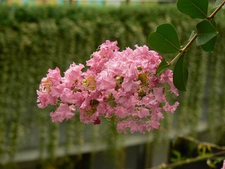 P1030870