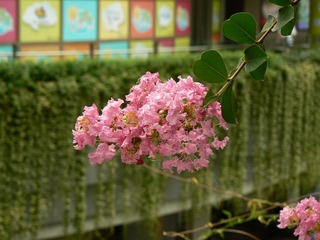 P1030868