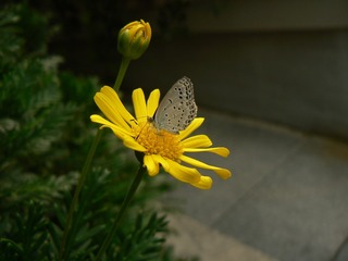 P1030877