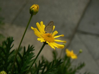 P1030878