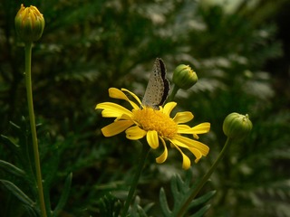 P1030887