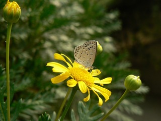 P1030883