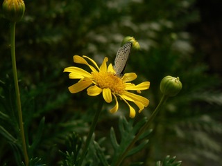 P1030884