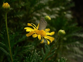 P1030885