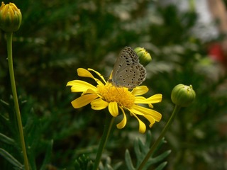P1030886