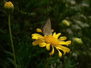 P1030888