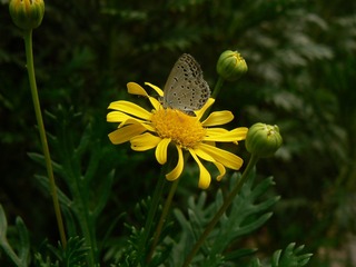 P1030891