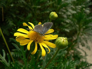 P1030897
