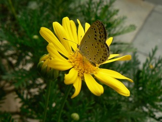 P1030902