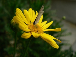 P1030905