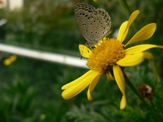 P1030908