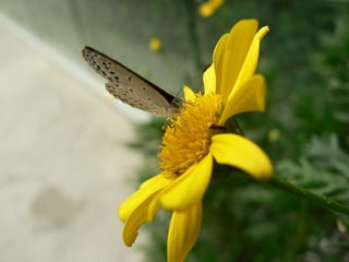 P1030911