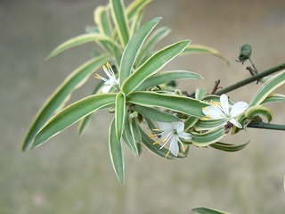 P1020070
