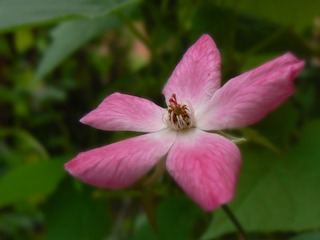 P1020086